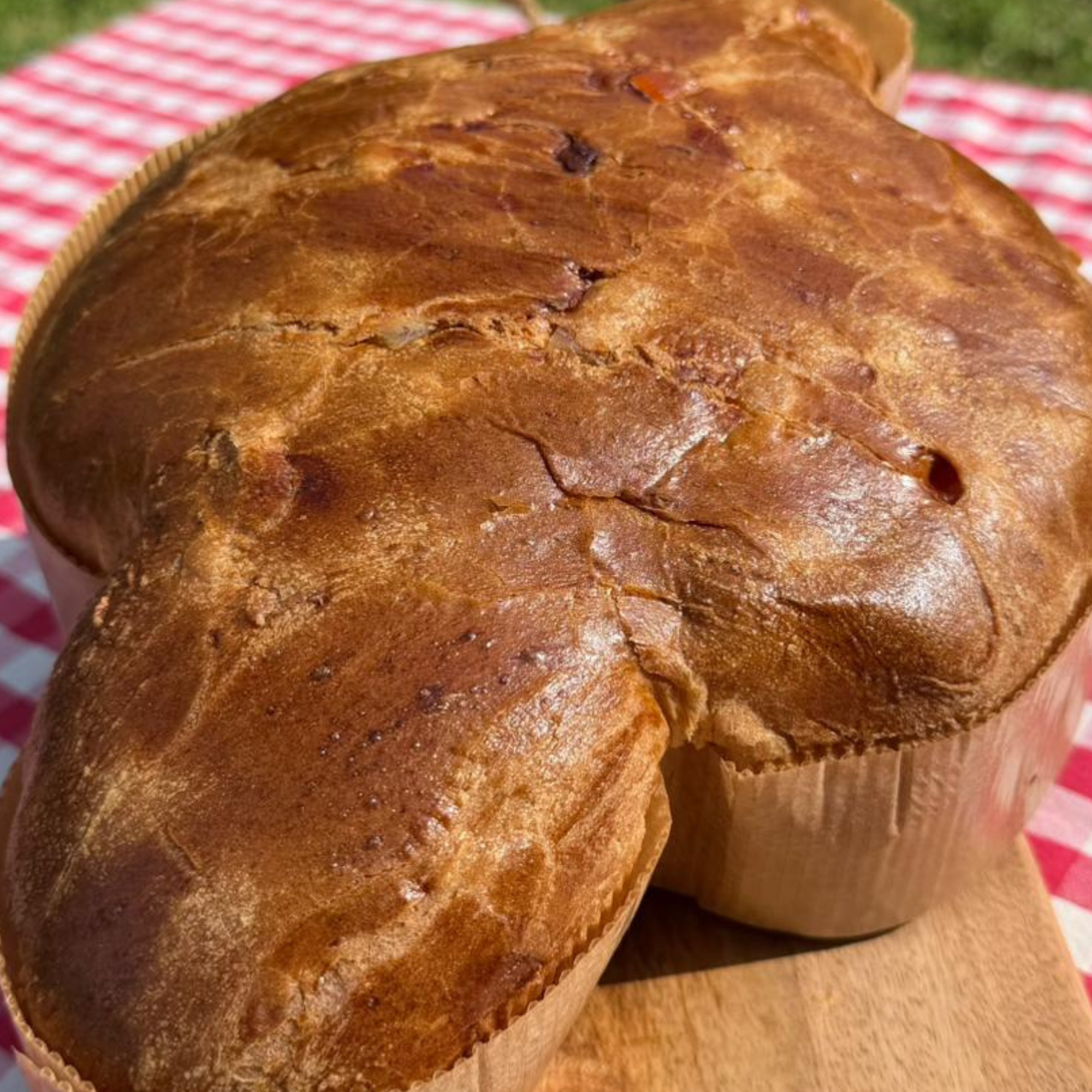 Colomba Frutto della Passione – Selezione Sapori della Rocca - immagine 2