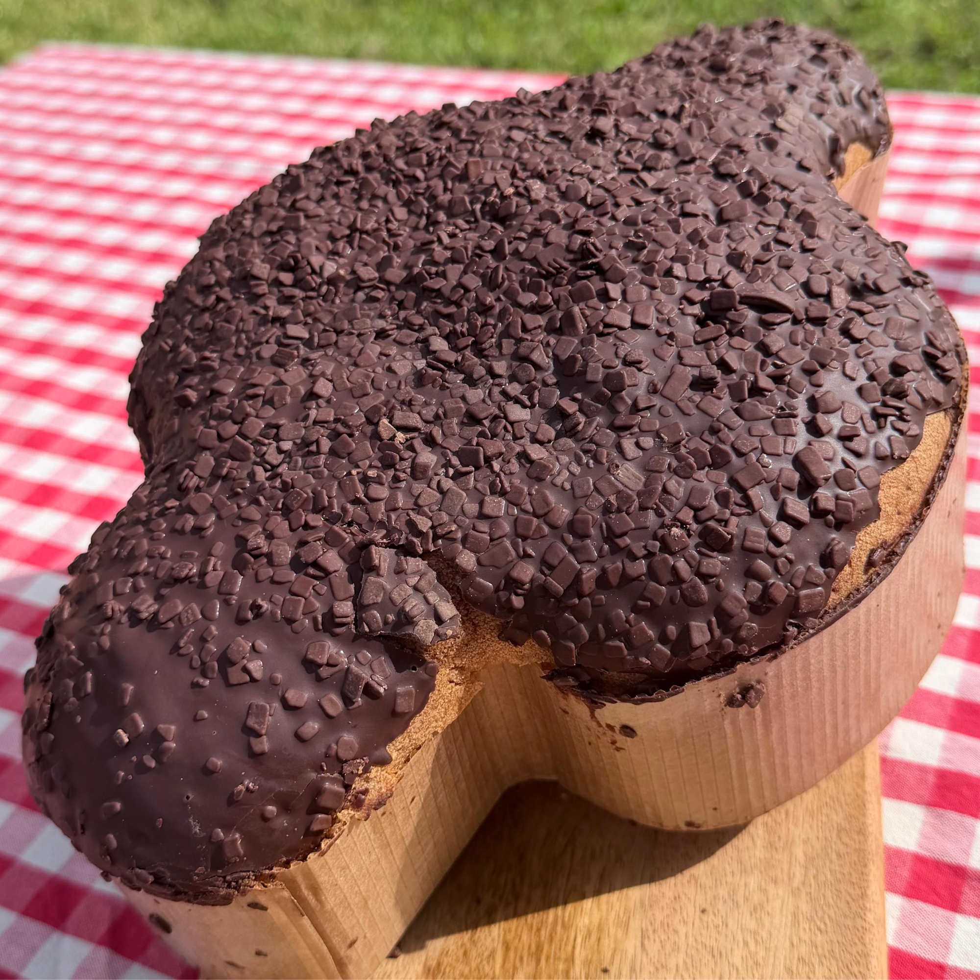 Colomba Tutto Cioccolato – Selezione Sapori della Rocca - immagine 3